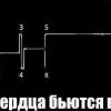 Аватар пользователя sobesednik