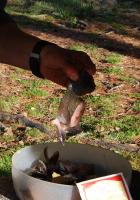 dsc044812.jpg